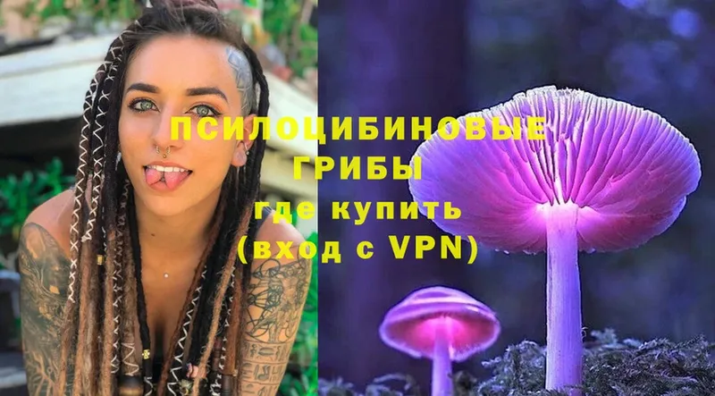 Псилоцибиновые грибы Magic Shrooms  Кириши 